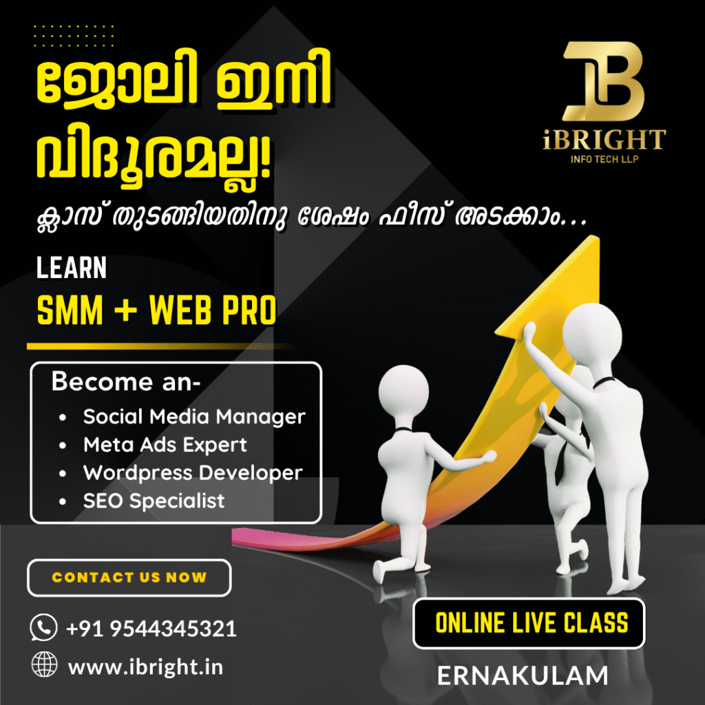smm + web pro